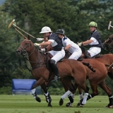 Polo, Commercial Wedding Photographers: Photoscience.co.uk